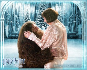 Harry Potter and the Goblet of Fire 哈利·波特与火焰杯壁