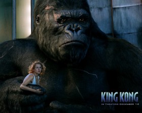 KING KONG 金刚桌面壁纸