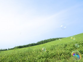 田园美景桌面壁纸