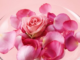 婚礼庆典鲜花点缀桌面壁纸