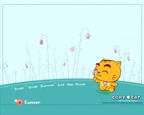 烤猫卡通桌面壁纸