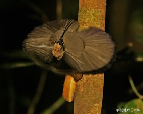 《华夏地理》杂志07年插图桌面壁纸