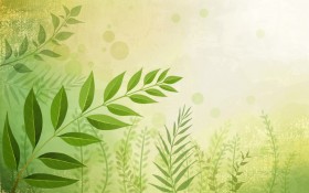 工笔花卉桌面壁纸