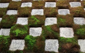 宁静花园桌面壁纸