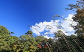 日本六甲山秋景桌面壁纸