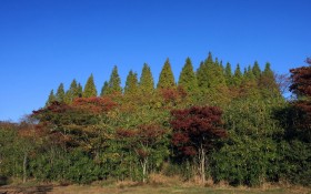 日本六甲山秋景桌面壁纸