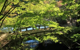 日本六甲山秋景桌面壁纸