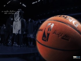 NBA明尼苏达森林狼队桌面壁纸