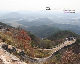 Yahoo韩国2010年11月桌面壁纸