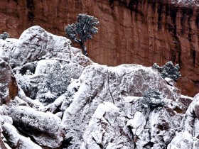 雪景桌面壁纸