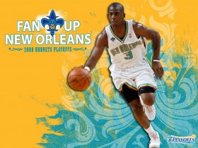 NBA：新奥尔良黄蜂队官方桌面壁纸