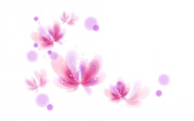 梦幻般的色彩花朵桌面壁纸