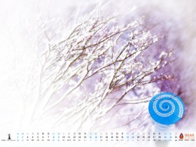 QQ会员2011年1月月历桌面壁纸