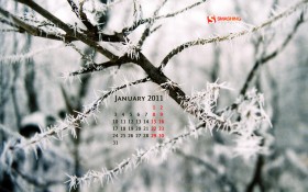 2011年1月月历桌面壁纸
