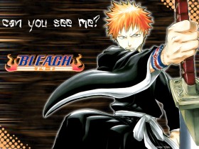 《死神BLEACH》桌面壁纸