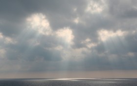 超大景物特写桌面壁纸