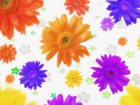 五彩花卉桌面壁纸