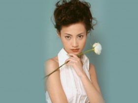 杨雪桌面壁纸