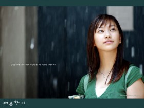 《夏日香气》桌面壁纸