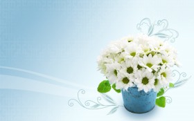 简约花卉装饰桌面壁纸