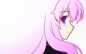 《笨蛋、测验、召唤兽》桌面壁纸