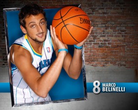 2010-11赛季NBA：新奥尔良黄蜂队桌面壁纸