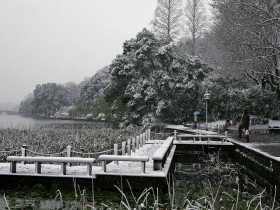 西湖雪景桌面壁纸