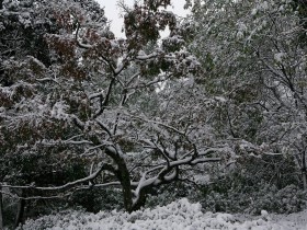 西湖雪景桌面壁纸