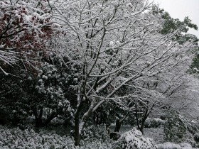西湖雪景桌面壁纸