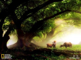 2010《国家地理》摄影大赛中国赛区作品桌面壁纸[风景篇]