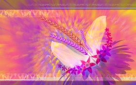 电脑花卉插画桌面壁纸