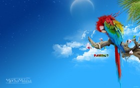 创意设计插画桌面壁纸