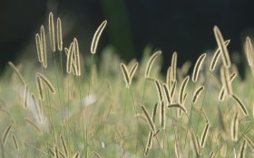 苹果Mac桌面壁纸[人文风景]