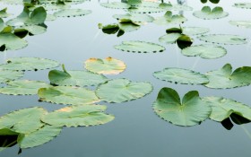苹果Mac桌面壁纸[人文风景]