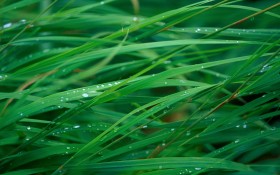 苹果Mac桌面壁纸[人文风景]
