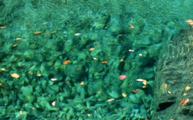 溪流波纹桌面壁纸