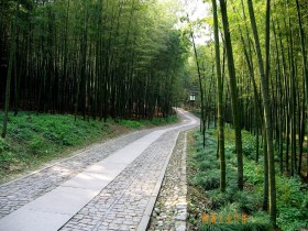 城市旅游-西湖风景桌面壁纸
