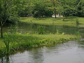 太子湾公园桌面壁纸