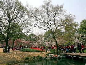 太子湾公园桌面壁纸