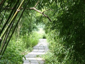 茅家埠摄影桌面壁纸