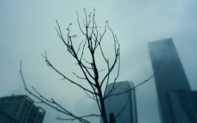 城市街拍风景壁纸