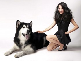 美女明星马苏壁纸