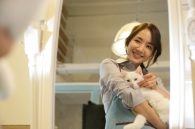 《猫：看见死亡的双眼》桌面壁纸[3000x2000]