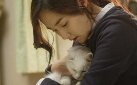 《猫：看见死亡的双眼》桌面壁纸[1280x800]