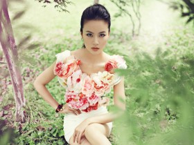 美女明星徐熙颜壁纸