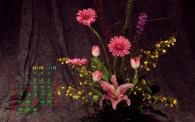 2011年11月花卉月历桌面壁纸