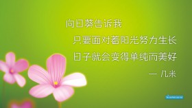 高清简约名言桌面壁纸