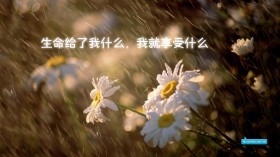 高清简约名言桌面壁纸