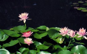 城市随拍风景摄影桌面壁纸