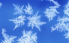雪花与冰霜桌面壁纸